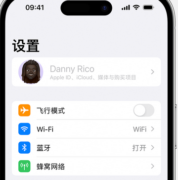 东至appleID维修服务iPhone设置中Apple ID显示为灰色无法使用 