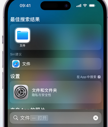 东至apple维修中心分享iPhone文件应用中存储和找到下载文件 