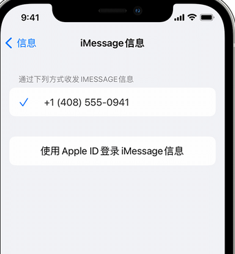 东至apple维修iPhone上无法正常发送iMessage信息