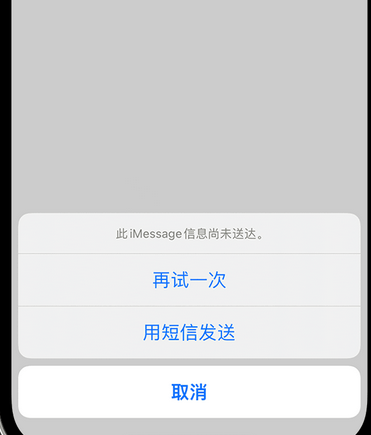 东至apple维修iPhone上无法正常发送iMessage信息