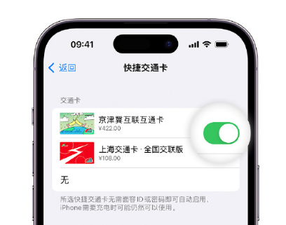 东至apple维修点分享iPhone上更换Apple Pay快捷交通卡手绘卡面 