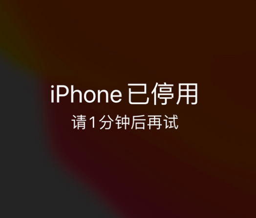 东至苹果手机维修分享:iPhone 显示“不可用”或“已停用”怎么办？还能保留数据吗？ 