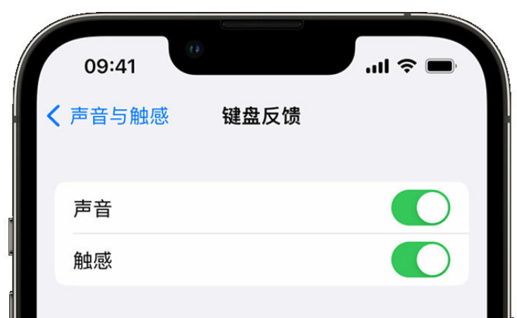 东至苹果手机维修分享iPhone 14触感键盘使用方法 