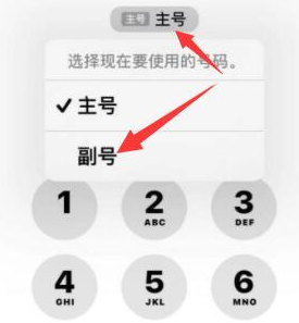 东至苹果14维修店分享iPhone 14 Pro Max使用副卡打电话的方法 