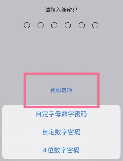 东至苹果14维修分享iPhone 14plus设置密码的方法 