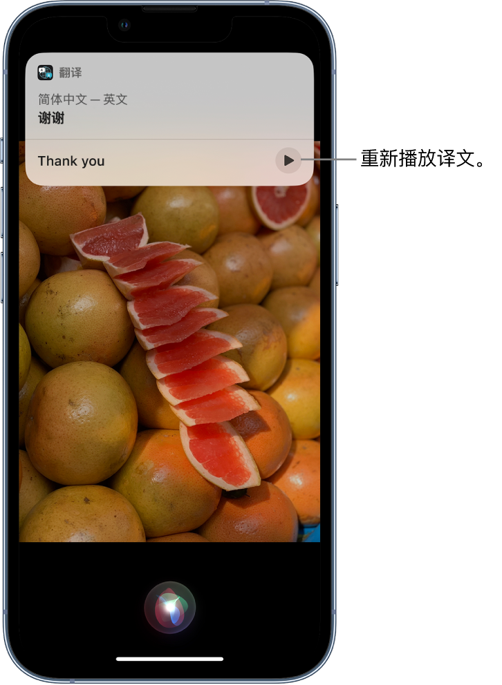 东至苹果14维修分享 iPhone 14 机型中使用 Siri：了解 Siri 能帮你做什么 