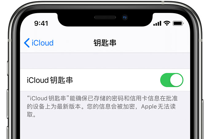 东至苹果手机维修分享在 iPhone 上开启 iCloud 钥匙串之后会储存哪些信息 