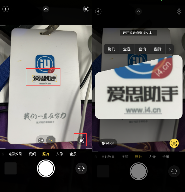 东至苹果手机维修分享升级iOS 16后如何通过相机翻译文本 