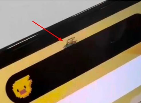 东至苹果14维修分享iPhone 14 Pro Max灵动岛怎么养宠物 