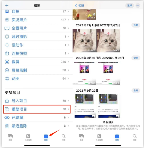 东至苹果手机维修分享iOS 16 中相册重复项目功能使用方法 