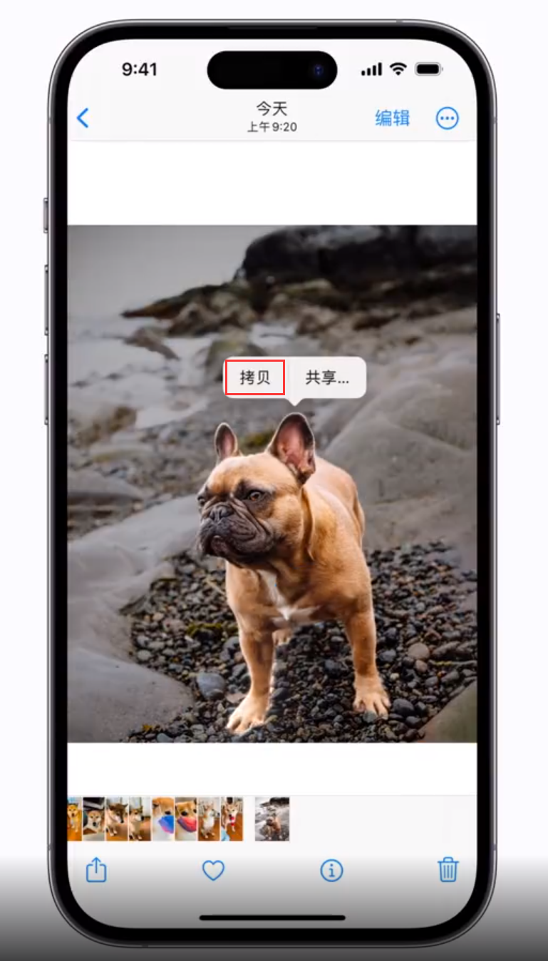 东至苹果手机维修分享 iOS 16 自带一键抠图功能 