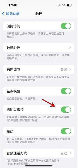 东至苹果手机维修分享iPhone手机如何设置摇一摇删除文字 