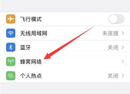 东至苹果手机维修分享iPhone手机4G网络怎么设置成5G网络 
