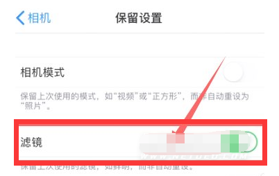 东至苹果13维修分享iPhone13拍照有绿点是怎么回事 