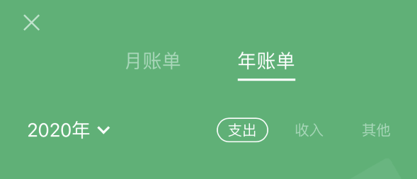 东至苹果手机维修分享如何在 iPhone 上查看支付宝和微信年支出账单 